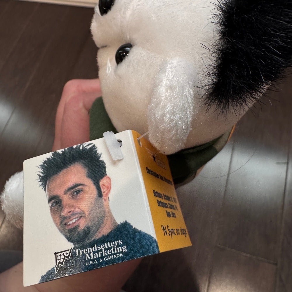 NWT VINTAGE NSYNC Chris Kirkpatrick Collectors Stuffed Bear NSYNC FAN CLASSIC - Picture 8 of 8